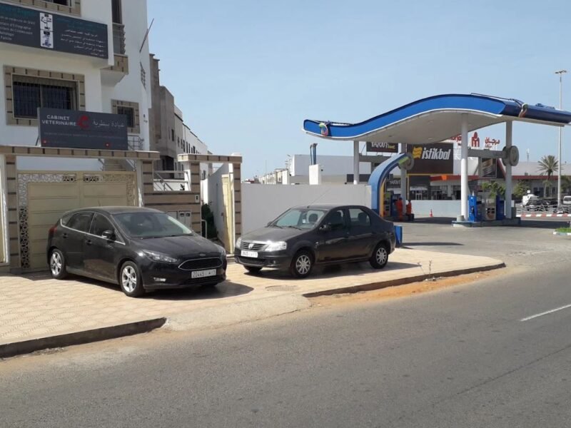 Cabinet Vétérinaire El Jadida - Dr.Salma Kandil