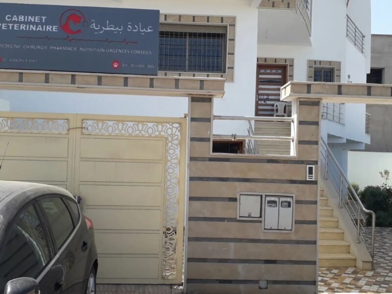 Cabinet Vétérinaire El Jadida - Dr.Salma Kandil