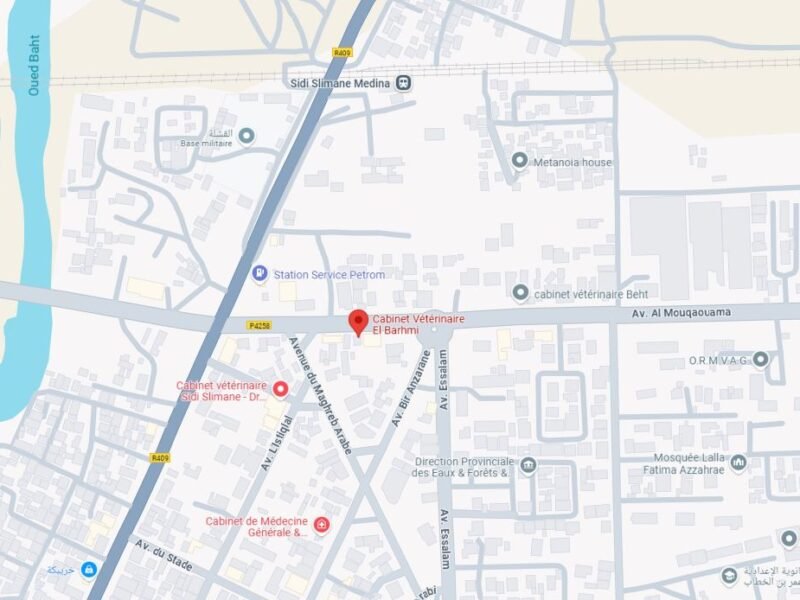 Cabinet Vétérinaire El Barhmi – Sidi Slimane