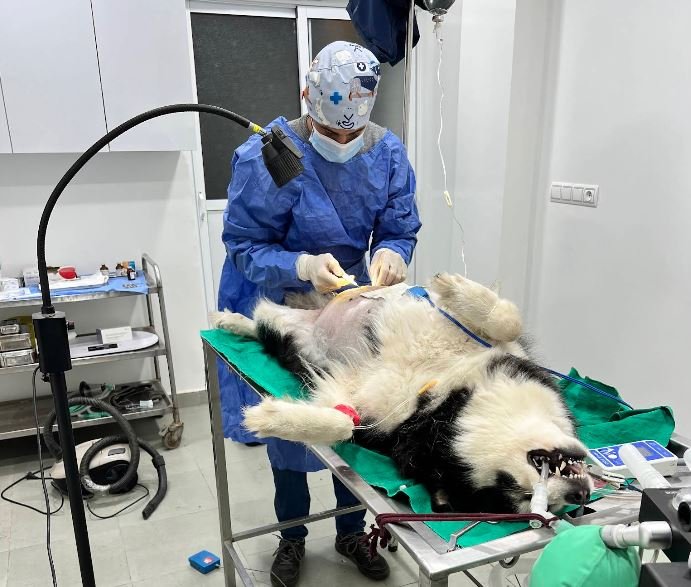 Cabinet Vétérinaire El Barhmi – Sidi Slimane