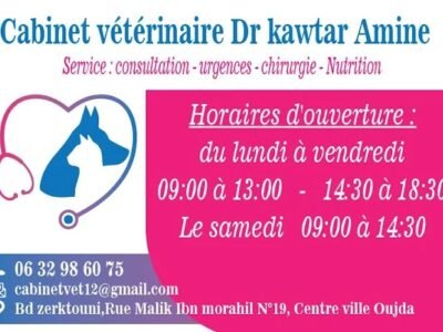 Docteur Vétérinaire Kawtar Amine – Oujda