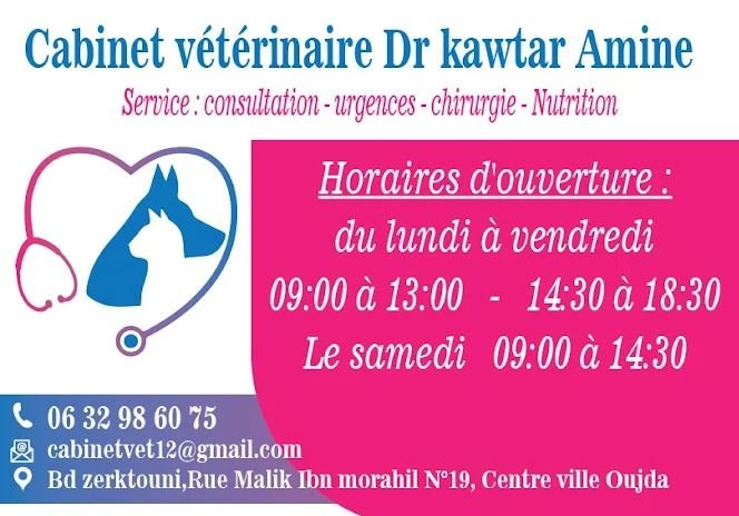 Docteur Vétérinaire Kawtar Amine – Oujda