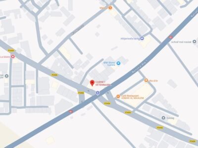 Cabinet Vétérinaire Dr Hajar El Haddaji – Azemmour