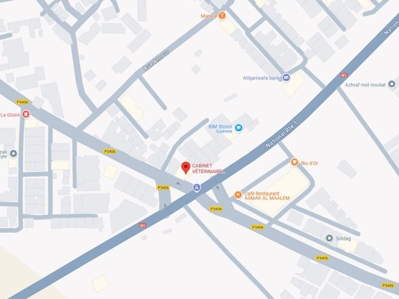 Cabinet Vétérinaire Dr Hajar El Haddaji – Azemmour