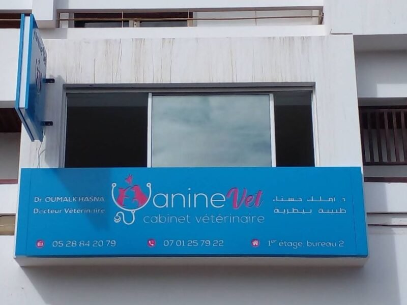 Cabinet Vétérinaire Agadir- Dr. Oumalk hasna