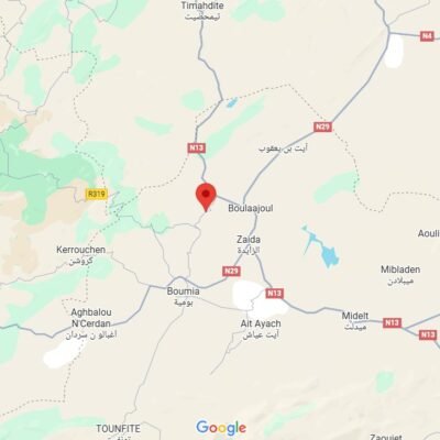 🏥 Cabinet Vétérinaire Itzer – Dr Oumane Hamza
