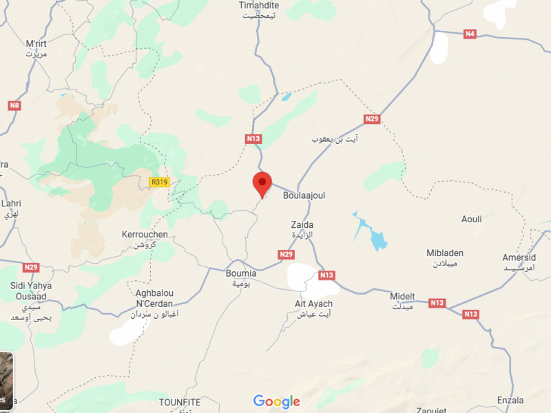 🏥 Cabinet Vétérinaire Itzer – Dr Oumane Hamza