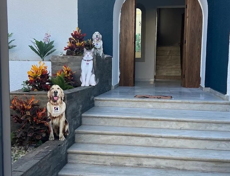 Clinique Vétérinaire Soleil – Casablanca