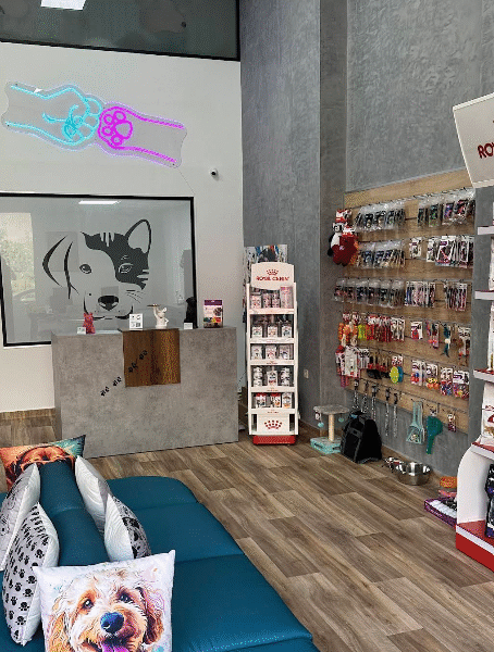 Clinique Vétérinaire Be My Vet Californie – Urgences & Soins Vétérinaires à Casablanca