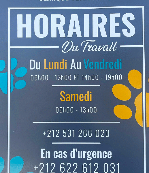 Clinique Vétérinaire Duovet – Tanger