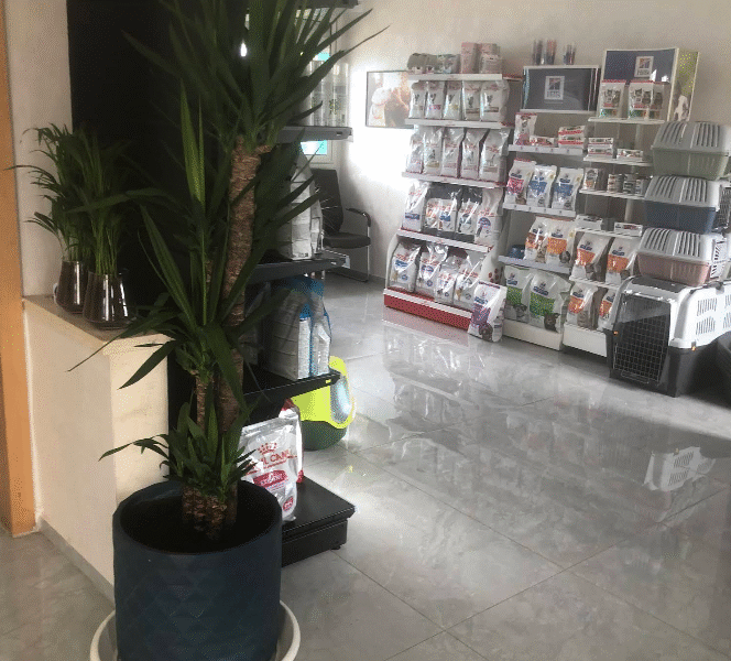 Clinique Vétérinaire Sidate – Urgences 24h/24 à Témara