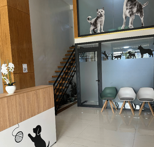 Cabinet Vétérinaire Jnane Californie – Dr Fatine Hassani