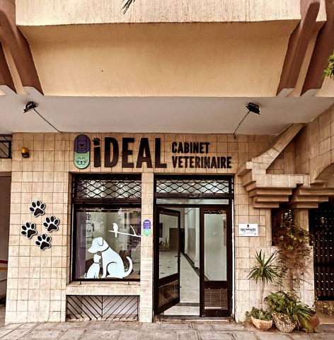 Cabinet Vétérinaire IDEAL – Urgences & Soins 24h/24 à Casablanca