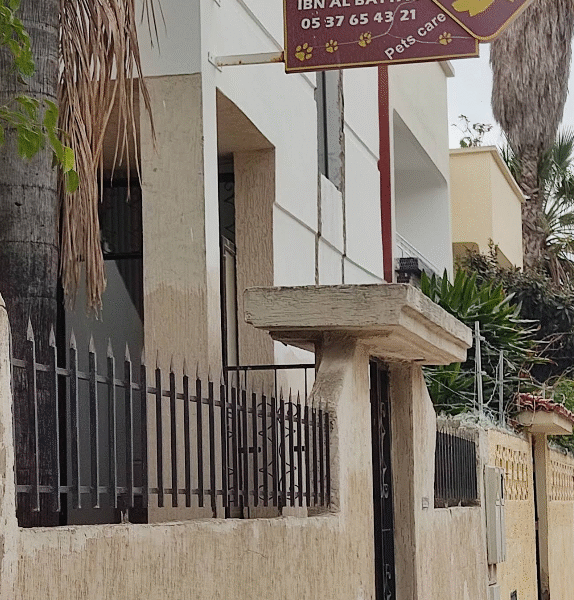 Clinique Vétérinaire Ibn Al Baytar – Excellence Médicale & Urgences à Rabat