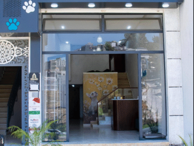 Clinique Vétérinaire Duovet – Tanger