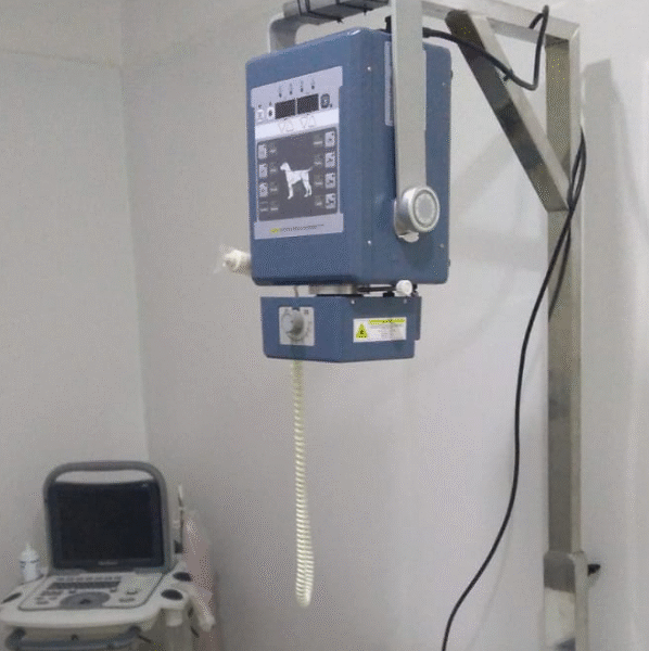 Clinique Vétérinaire California – Dr Lahrech Med Chakib