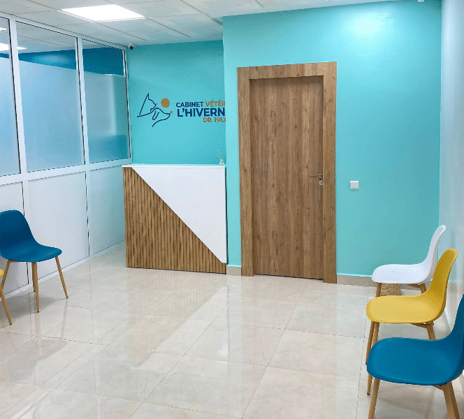 Cabinet Vétérinaire L'Hivernage – Marrakech