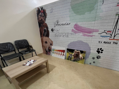 Cabinet Vétérinaire Tanger