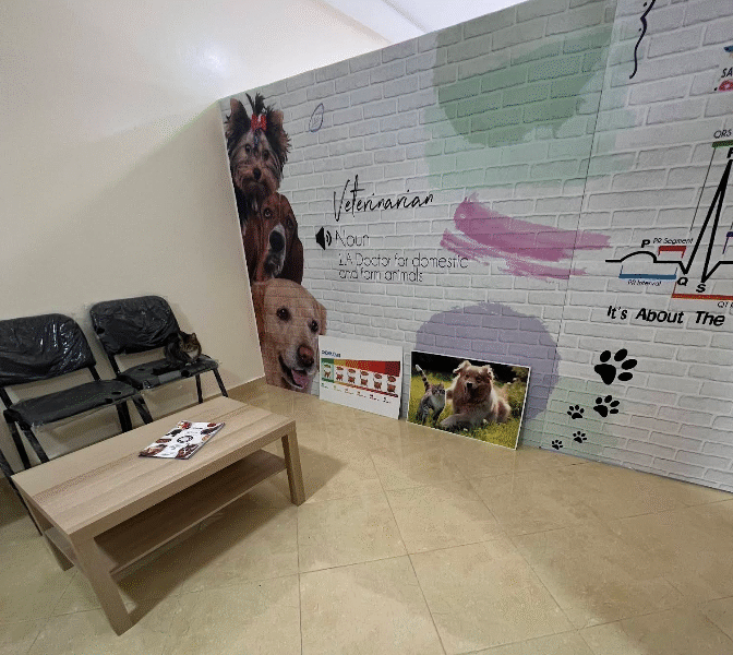 Cabinet Vétérinaire Tanger