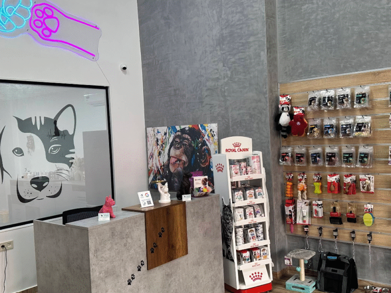 Clinique Vétérinaire Be My Vet Californie – Urgences & Soins Vétérinaires à Casablanca