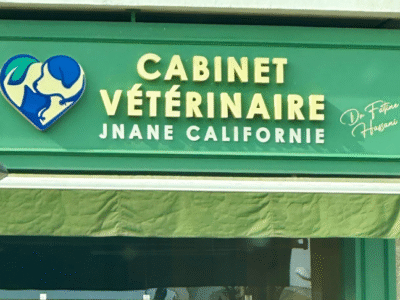 Cabinet Vétérinaire Jnane Californie – Dr Fatine Hassani