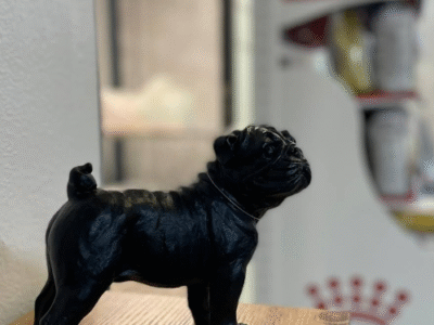 Cabinet Vétérinaire Beauséjour – Urgences 24h/24