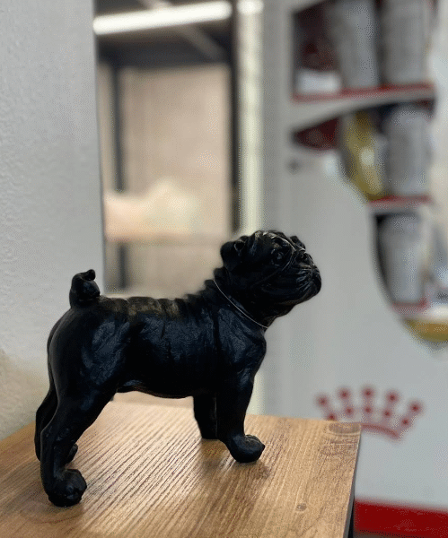 Cabinet Vétérinaire Beauséjour – Urgences 24h/24