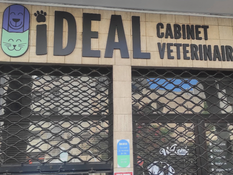 Cabinet Vétérinaire IDEAL – Urgences & Soins 24h/24 à Casablanca