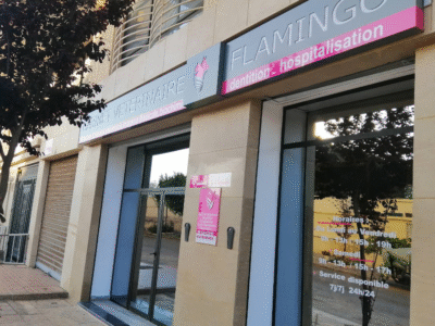 Cabinet Vétérinaire Flamingo – Kénitra