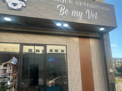 Clinique Vétérinaire Be My Vet Californie – Urgences & Soins Vétérinaires à Casablanca