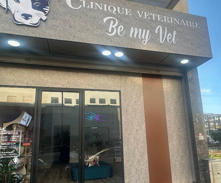 Clinique Vétérinaire Be My Vet Californie – Urgences & Soins Vétérinaires à Casablanca