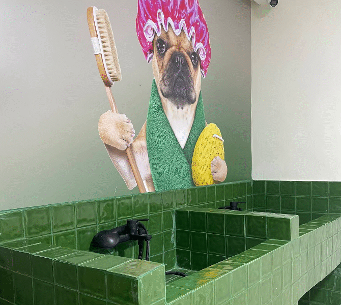 Clinique Vétérinaire Duovet – Tanger