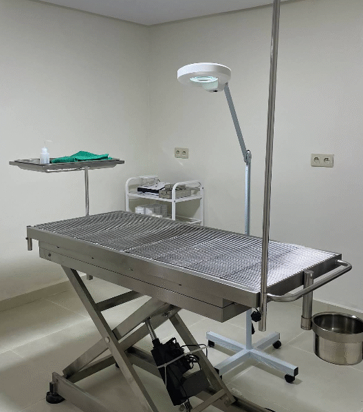 Clinique Vétérinaire Duovet – Tanger