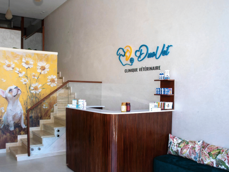 Clinique Vétérinaire Duovet – Tanger