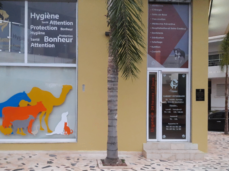 Cabinet Vétérinaire Nasma – Fès / Urgence Vétérinaire