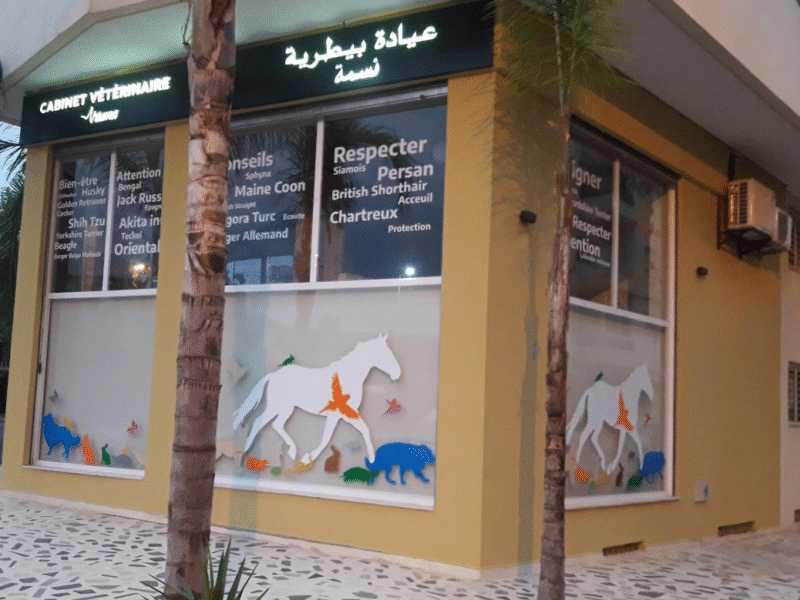 Cabinet Vétérinaire Nasma – Fès / Urgence Vétérinaire