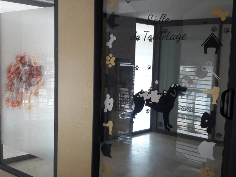 Cabinet Vétérinaire Nasma – Fès / Urgence Vétérinaire