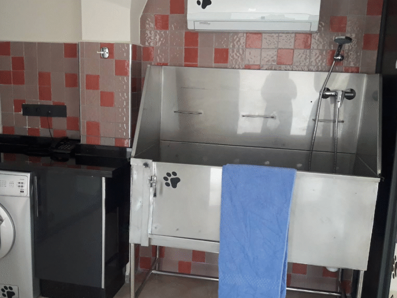 Cabinet Vétérinaire Nasma – Fès / Urgence Vétérinaire