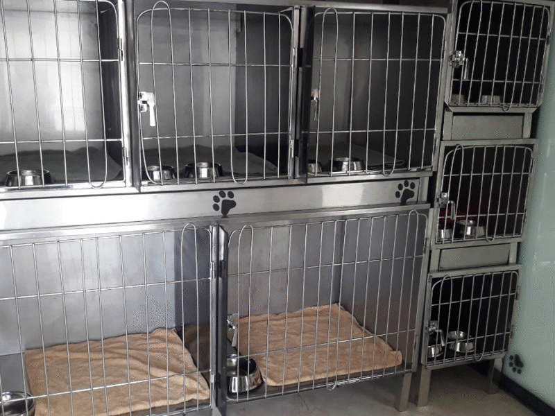 Cabinet Vétérinaire Nasma – Fès / Urgence Vétérinaire