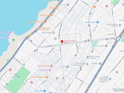 Cabinet vétérinaire Rabatvet – Vétérinaire au Maroc