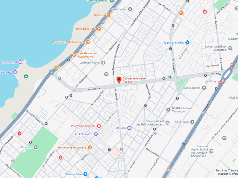 Cabinet vétérinaire Rabatvet – Vétérinaire au Maroc