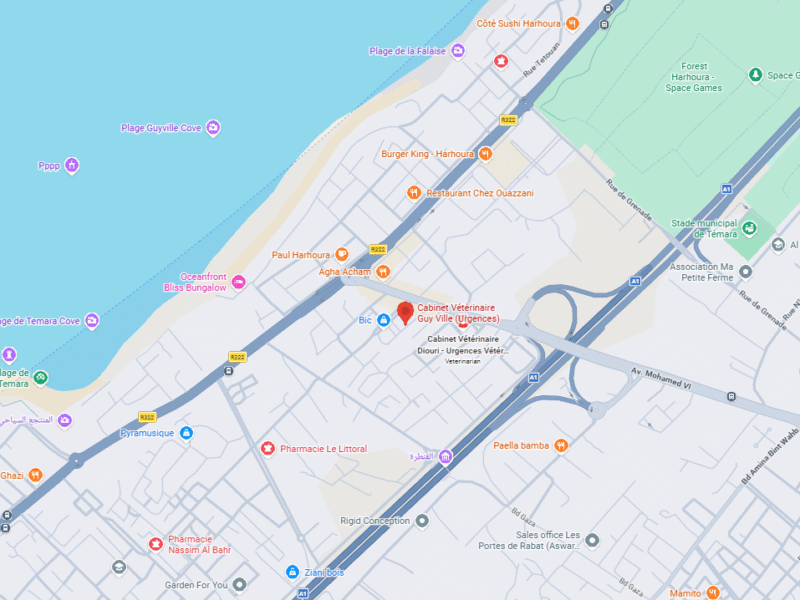 Cabinet Vétérinaire Guy Ville – Vétérinaire au Maroc