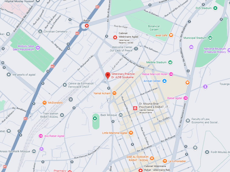 Cabinet vétérinaire - Dr. AZIB Soukaina – Vétérinaire au Maroc
