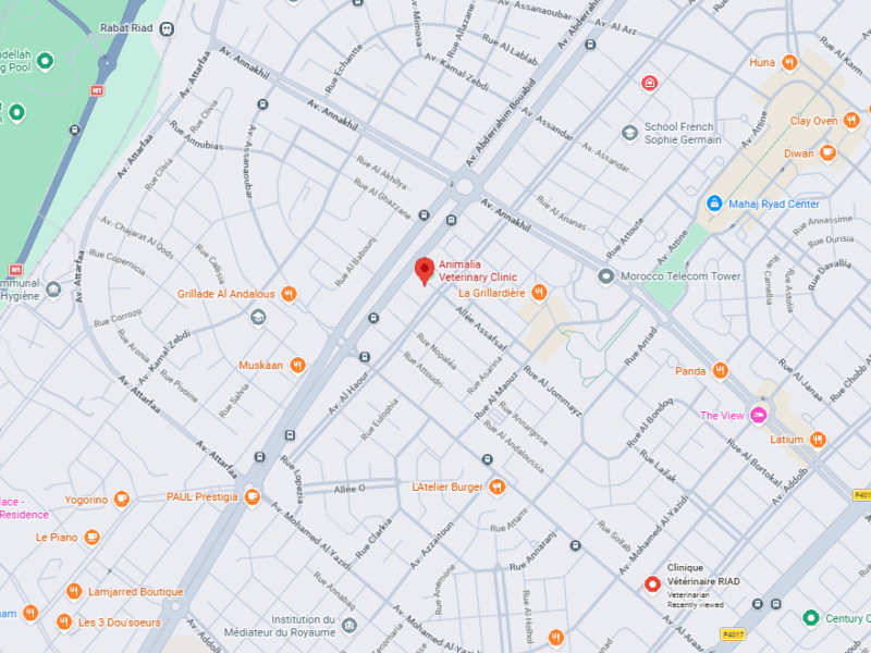 Clinique Vétérinaire Animalia – Vétérinaire au Maroc
