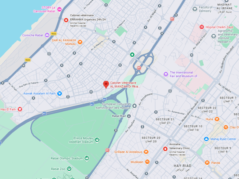 Cabinet Vétérinaire AL MANZAH Dr Rkia AZLAF – Vétérinaire au Maroc