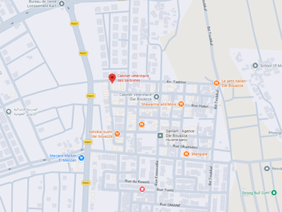 Cabinet vétérinaire des darbistes – Vétérinaire au Maroc