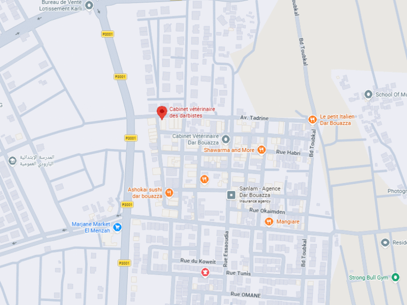 Cabinet vétérinaire des darbistes – Vétérinaire au Maroc