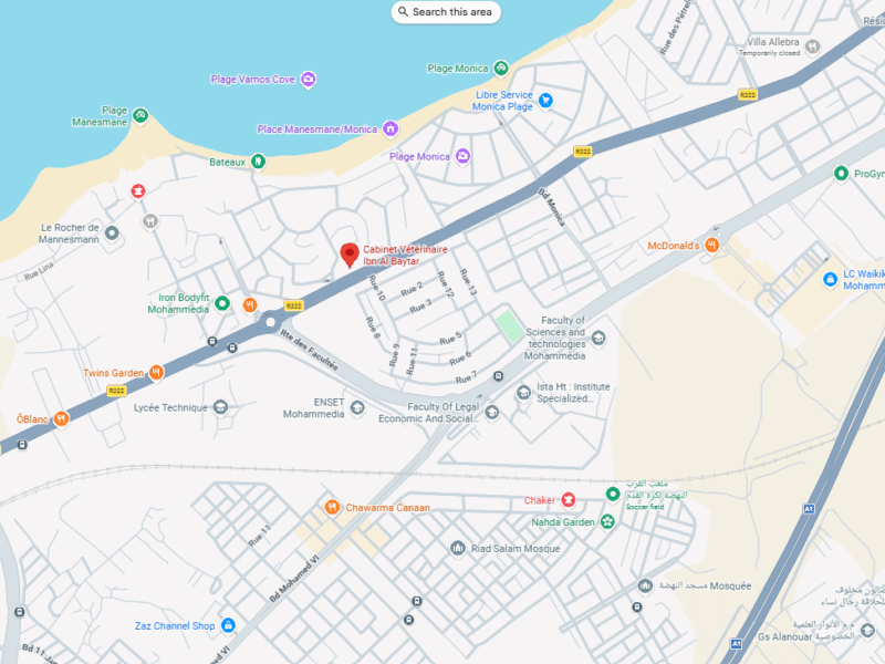 Cabinet Vétérinaire Ibn Al Baytar – Vétérinaire au Maroc