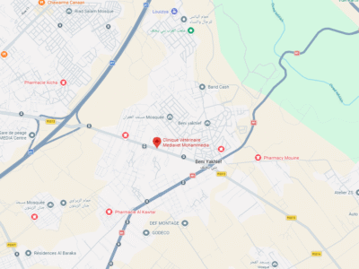Clinique Vétérinaire Mediavet – Vétérinaire au Maroc