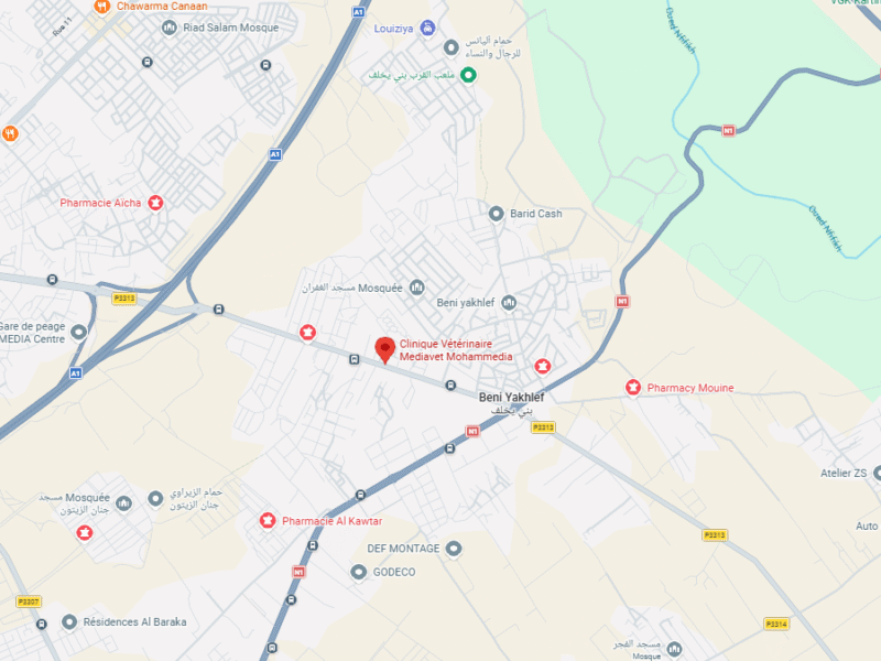Clinique Vétérinaire Mediavet – Vétérinaire au Maroc